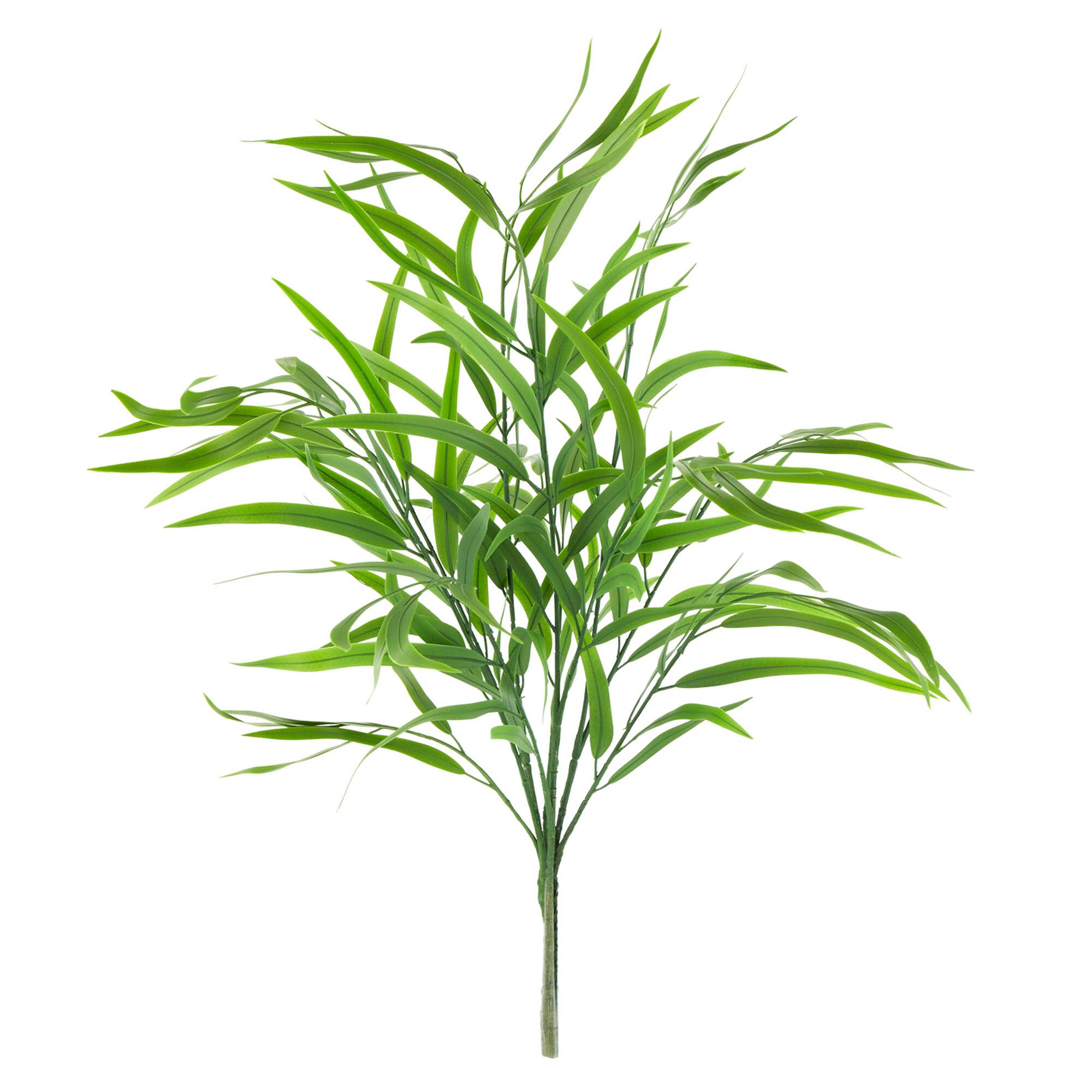 Long Willow Eucalyptus Bush by Ashland®